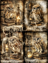 Load image into Gallery viewer, Quiet Wisdom- Ooh La La Printables