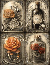 Load image into Gallery viewer, Ravenswood Manor- Ooh La La Printables