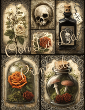 Load image into Gallery viewer, Ravenswood Manor- Ooh La La Printables