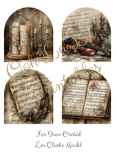 Load image into Gallery viewer, Salon de Musique- Ooh La La Printables