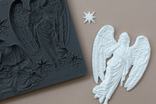 Load image into Gallery viewer, Silent Night 6x10 IOD Mould
