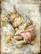Load image into Gallery viewer, Sweet Dreams- Ooh La La Printables