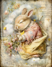 Load image into Gallery viewer, Sweet Dreams- Ooh La La Printables