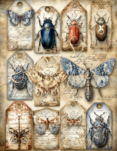 Load image into Gallery viewer, Bleu &amp; Boujee- Ooh La La Printables