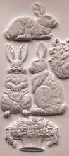 Load image into Gallery viewer, 2026 Spring Collection LES LAPIN 6x10 Iron Orchid Mould