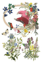 Load image into Gallery viewer, 2026 Spring Collection FLORA GRECA 8X12 Iron Orchid Transfer