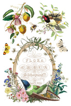 Load image into Gallery viewer, 2026 Spring Collection FLORA GRECA 8X12 Iron Orchid Transfer