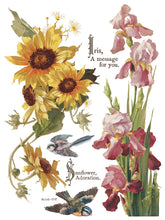 Load image into Gallery viewer, Flowers by the Poets IOD Transfer 12x16 Pad- 8 Pages Summer 2026