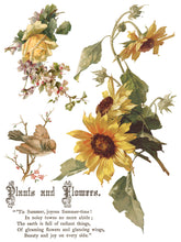 Load image into Gallery viewer, Flowers by the Poets IOD Transfer 12x16 Pad- 8 Pages Summer 2026