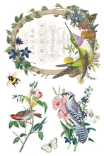 Load image into Gallery viewer, 2026 Spring Collection FLORA GRECA 8X12 Iron Orchid Transfer