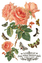 Load image into Gallery viewer, 2026 Spring Collection ANY OTHER NAME 8X12 Iron Orchid Transfer