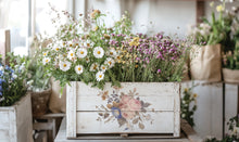 Load image into Gallery viewer, 2026 Spring Collection SAINT QUEN 8X12 Iron Orchid Transfer