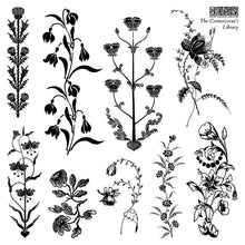 Load image into Gallery viewer, The Connoisseur's Library Labels 6x6 IOD Stamps Summer 2026