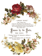Load image into Gallery viewer, Flowers by the Poets IOD Transfer 12x16 Pad- 8 Pages Summer 2026