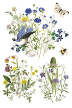 Load image into Gallery viewer, 2026 Spring Collection FLORA GRECA 8X12 Iron Orchid Transfer