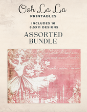 Load image into Gallery viewer, Assorted Bundle #1- Ooh La La Digital Printables