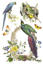 Load image into Gallery viewer, 2026 Spring Collection FLORA GRECA 8X12 Iron Orchid Transfer