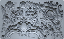 Load image into Gallery viewer, Cadre 6x10 IOD Mould