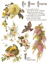 Load image into Gallery viewer, Flowers by the Poets IOD Transfer 12x16 Pad- 8 Pages Summer 2026
