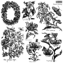 Load image into Gallery viewer, Nature's Etchings 12x12 IOD Stamp- 2 Sheets