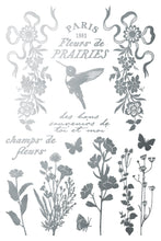 Load image into Gallery viewer, 2026 Spring Collection PAPILLON 8X12 Iron Orchid Foil Transfer
