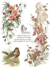 Load image into Gallery viewer, Flowers by the Poets IOD Transfer 12x16 Pad- 8 Pages Summer 2026