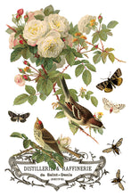 Load image into Gallery viewer, 2026 Spring Collection ANY OTHER NAME 8X12 Iron Orchid Transfer