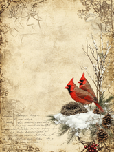 Load image into Gallery viewer, Christmas Florals &amp; Cardinals (Soft)- Ooh La La Printables