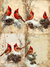 Load image into Gallery viewer, Christmas Florals &amp; Cardinals (Soft)- Ooh La La Printables
