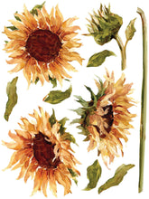 Load image into Gallery viewer, PAINTERLY FLORALS 12x16 8-SHEET TRANSFER PAD