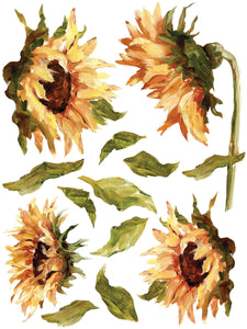 PAINTERLY FLORALS 12x16 8-SHEET TRANSFER PAD