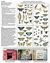 Load image into Gallery viewer, ENTOMOLOGY ETCETERA 12x16 4-SHEET DECOR TRANSFER™ PAD