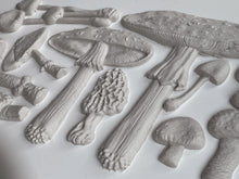 Load image into Gallery viewer, SPRING 2023 TOADSTOOL 6X10 IOD MOULD
