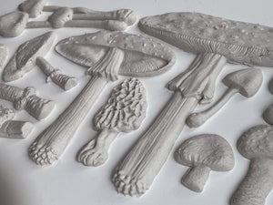 SPRING 2023 TOADSTOOL 6X10 IOD MOULD