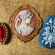 Load image into Gallery viewer, CAMEO~ IRON ORCHID 6x10 DECOR MOULD